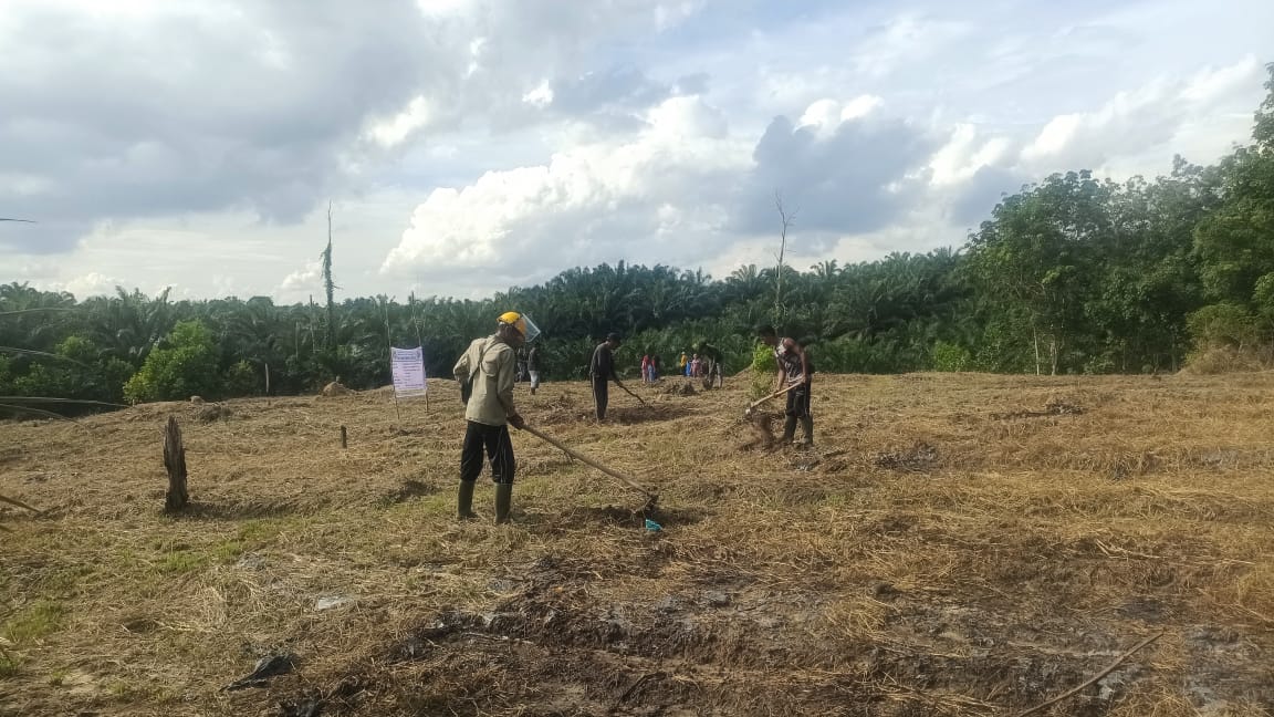 Ketahanan pangan KDMP tasik tebing serai